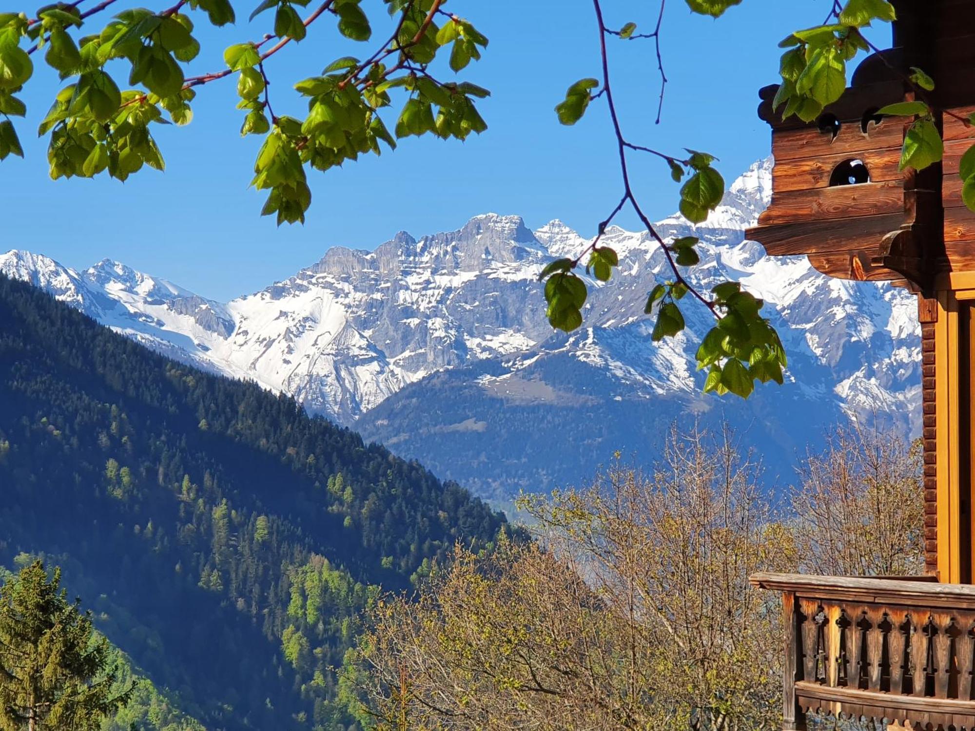 Magnifique Chalet Valerie 5 Chambres A Coucher & Vue Unique グリオン エクステリア 写真