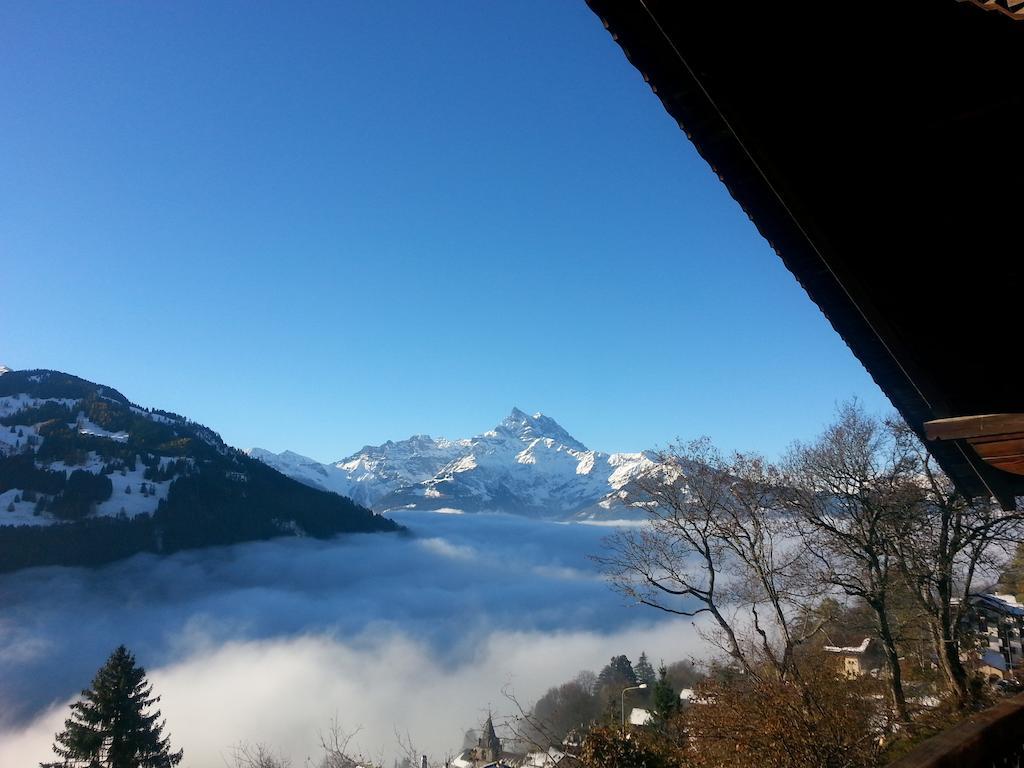 Magnifique Chalet Valerie 5 Chambres A Coucher & Vue Unique グリオン エクステリア 写真